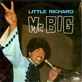 Cover of Mr. Big