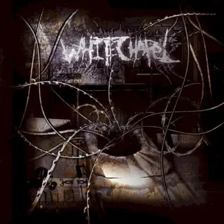 Cover of The Somatic Defilement