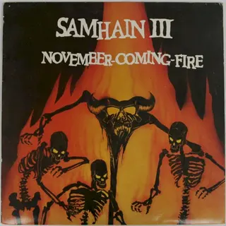 Cover of November Coming Fire