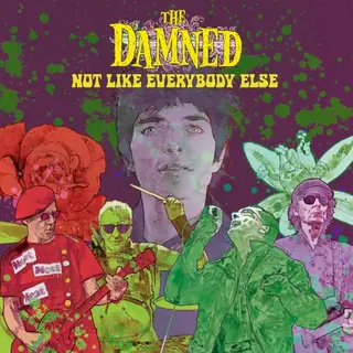 Cover of Not Like Everybody Else
