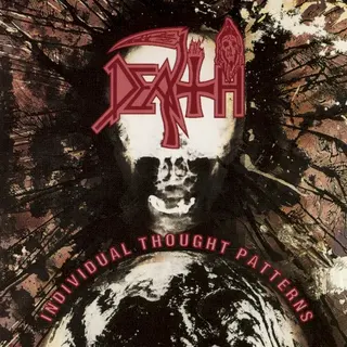 Cover of Individual Thought Patterns
