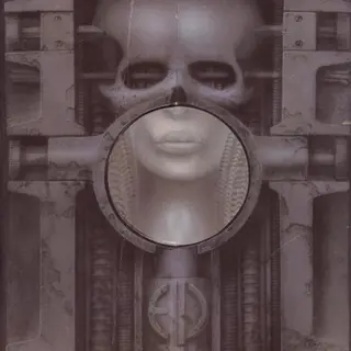 Cover of Brain Salad Surgery