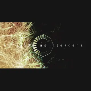 Cover of Animals as Leaders