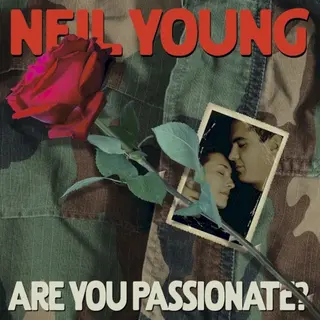 Cover of Are You Passionate?