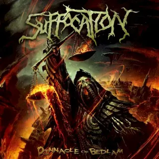Cover of Pinnacle of Bedlam