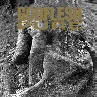 Cover of Pure