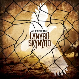 Cover of Last of a Dyin’ Breed