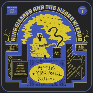 Cover of Flying Microtonal Banana