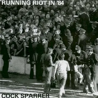 Cover of Running Riot in ’84