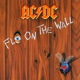 Cover of Fly on the Wall