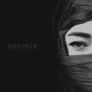 Cover of Anomie
