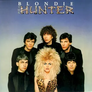 Cover of The Hunter