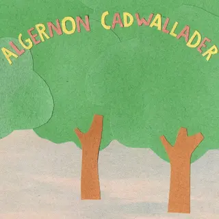 Cover of Some Kind of Cadwallader
