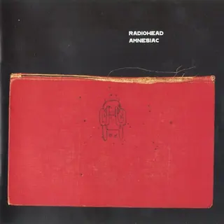 Cover of Amnesiac