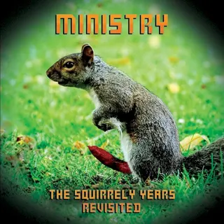 Cover of The Squirrely Years Revisited