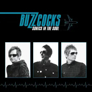 Cover of Sonics in the Soul