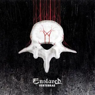 Cover of Vertebrae