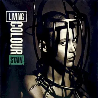 Cover of Stain
