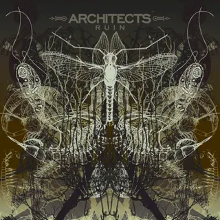 Cover of Ruin