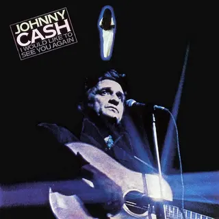 Cover of I Would Like to See You Again