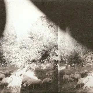 Cover of ‘Asunder, Sweet and Other Distress’