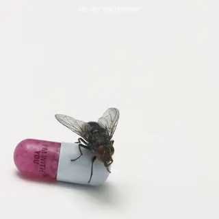 Cover of I’m With You