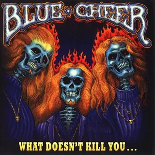 Cover of What Doesn't Kill You...
