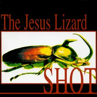 Cover of Shot