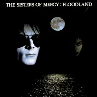 Cover of Floodland
