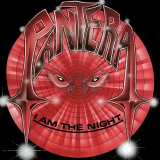 Cover of I Am the Night