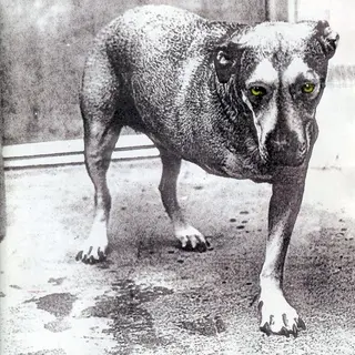 Cover of Alice in Chains