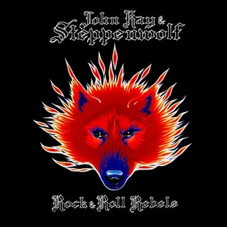 Cover of Rock & Roll Rebels