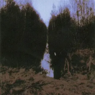 Cover of My Arms, Your Hearse