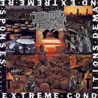 Cover of Extreme Conditions Demand Extreme Responses