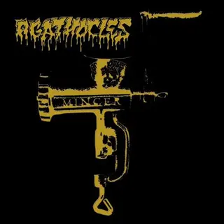 Cover of Mincer