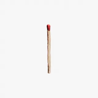 Cover of [Rammstein]