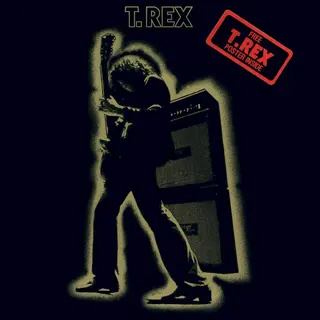 Cover of Electric Warrior