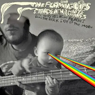 Cover of The Dark Side of the Moon