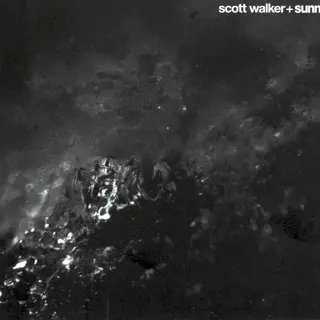 Cover of Soused