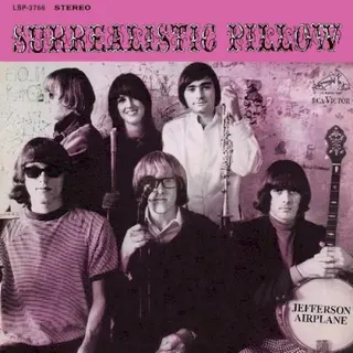 Cover of Surrealistic Pillow