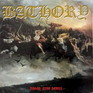 Cover of Blood Fire Death
