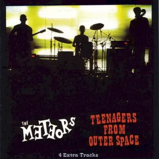 Cover of Teenagers From Outer Space