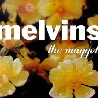 Cover of The Maggot