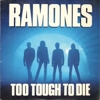 Cover of Too Tough to Die