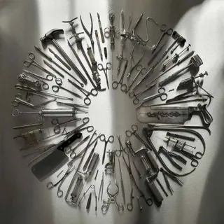 Cover of Surgical Steel