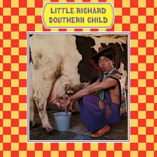 Cover of Southern Child