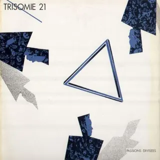 Cover of Passions Divisées