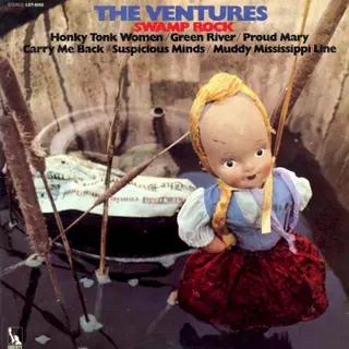 Cover of Swamp Rock