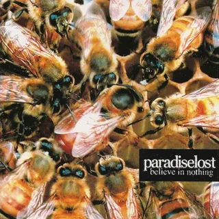 Cover of Believe in Nothing